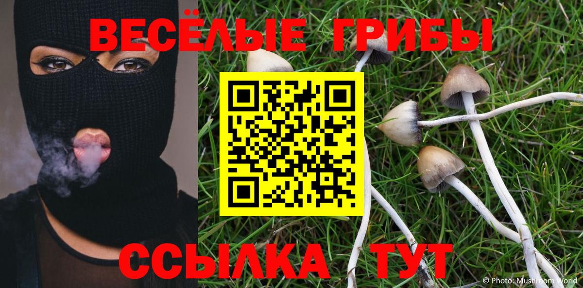 Галлюциногенные грибы MAGIC MUSHROOMS  Псилоцибиновые грибы ЛСД  Вход с VPN  Троицк 
