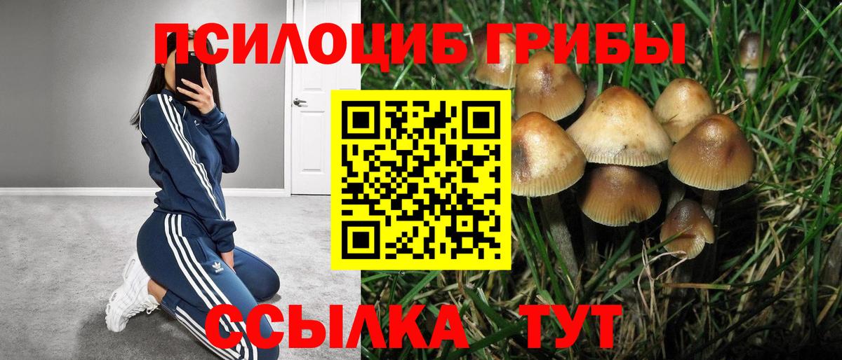 Псилоцибиновые грибы ЛСД Троицк